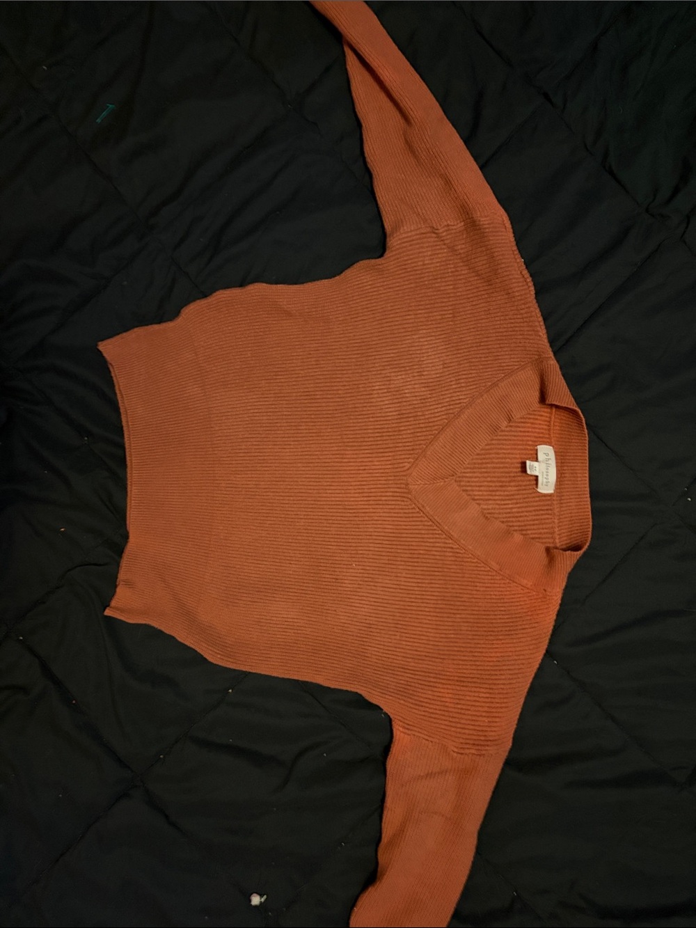 Philosophy Rust-Orange Ribbed V-Neck Top